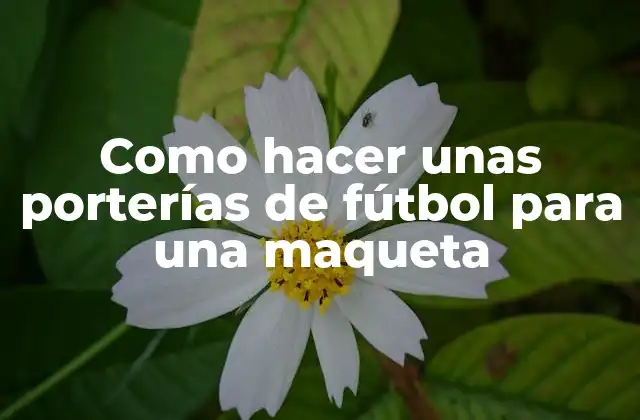 Como Hacer unas Porterías de Fútbol para una Maqueta