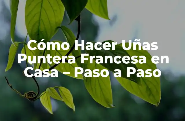 Cómo Hacer Uñas Puntera Francesa en Casa – Paso a Paso