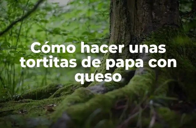 Cómo Hacer unas Tortitas de Papa con Queso