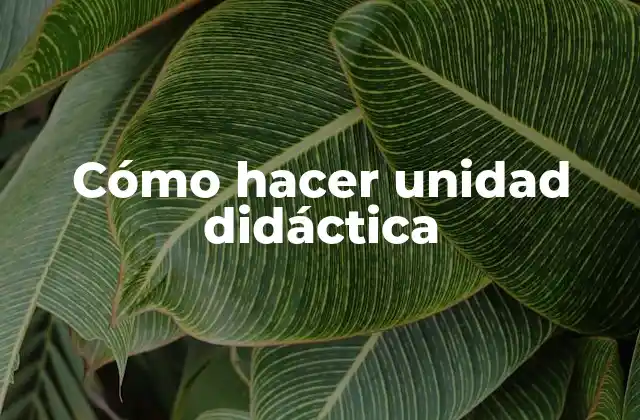 Cómo Hacer Unidad Didáctica