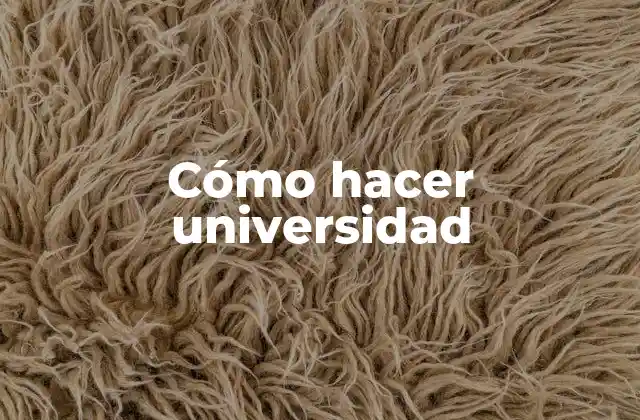 Cómo Hacer Universidad