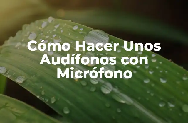 Cómo Hacer unos Audífonos con Micrófono