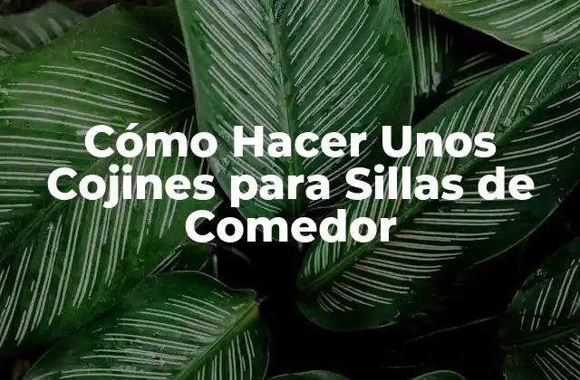 Cómo Hacer unos Cojines para Sillas de Comedor