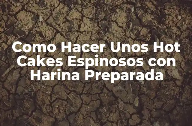 Como Hacer unos Hot Cakes Espinosos con Harina Preparada 2 Qué son los Hot Cakes Espinosos con Harina Preparada