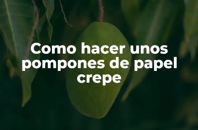 Como Hacer unos Pompones de Papel Crepe