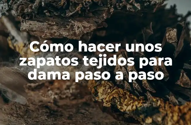 Cómo Hacer unos Zapatos Tejidos para Dama Paso a Paso