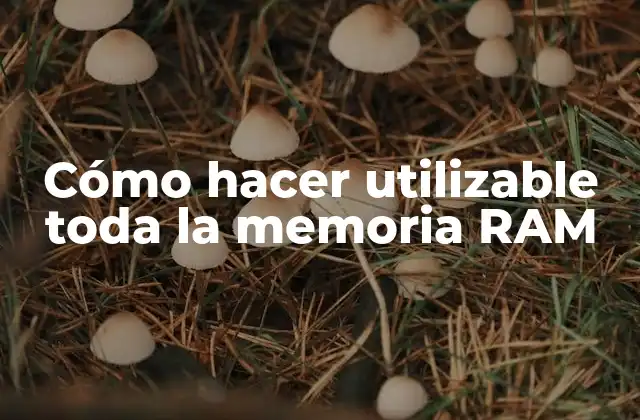 Cómo Hacer Utilizable Toda la Memoria Ram