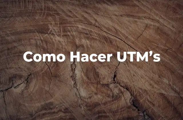 Como Hacer Utm's 2 ¿Qué son UTM's y para qué sirven?