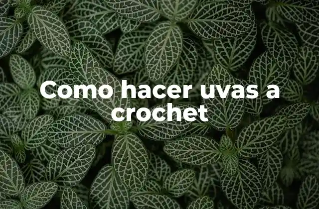 Como Hacer Uvas a Crochet 2 Que son uvas a crochet