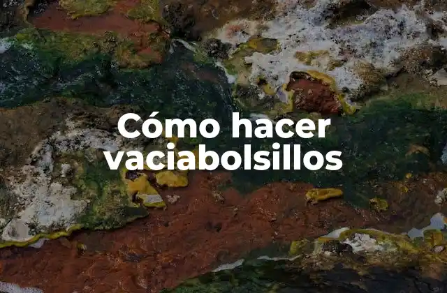 Cómo Hacer Vaciabolsillos
