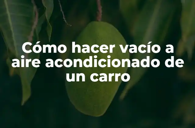 Cómo Hacer Vacío a Aire Acondicionado de un Carro