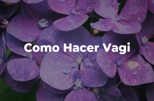 Como Hacer Vagi