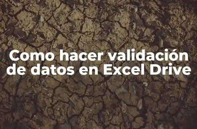 Como Hacer Validación de Datos en Excel Drive