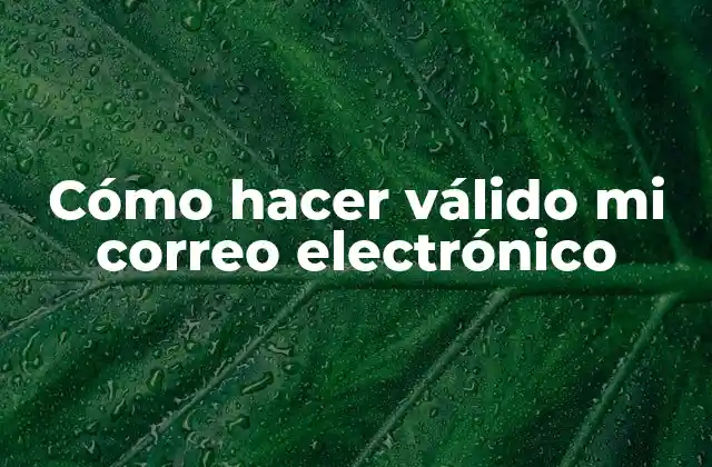 Cómo Hacer Válido Mi Correo Electrónico