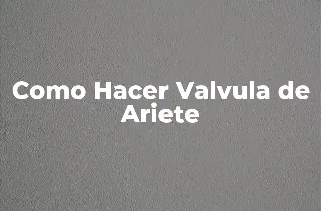 Como Hacer Valvula de Ariete