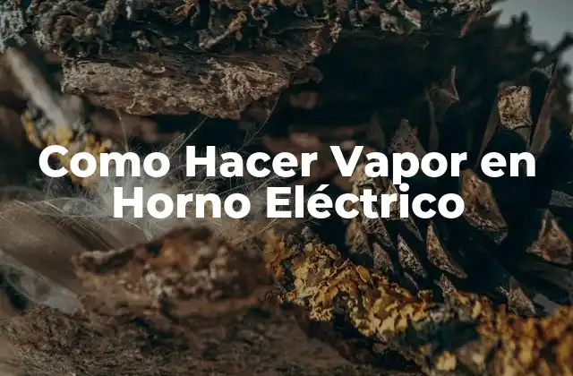 Como Hacer Vapor en Horno Eléctrico