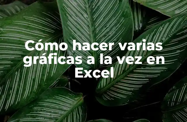 Cómo Hacer Varias Gráficas a la Vez en Excel
