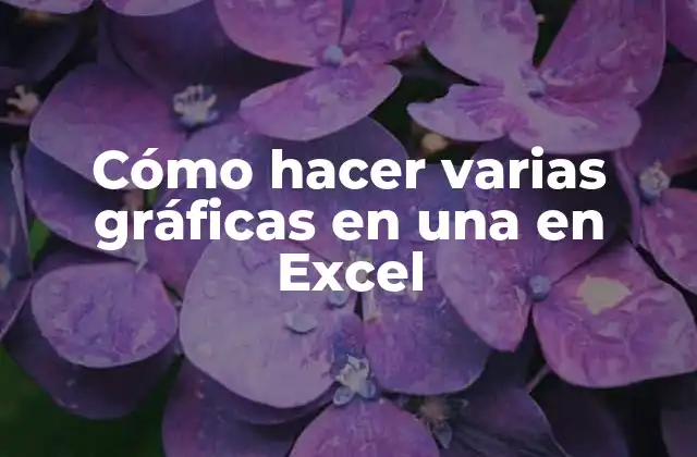 Cómo Hacer Varias Gráficas en una en Excel