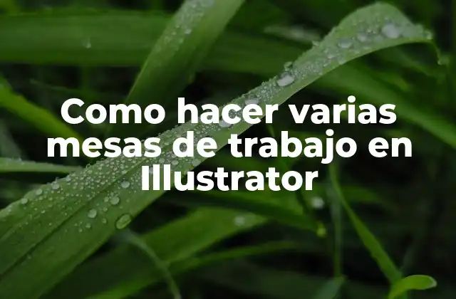 Como Hacer Varias Mesas de Trabajo en Illustrator
