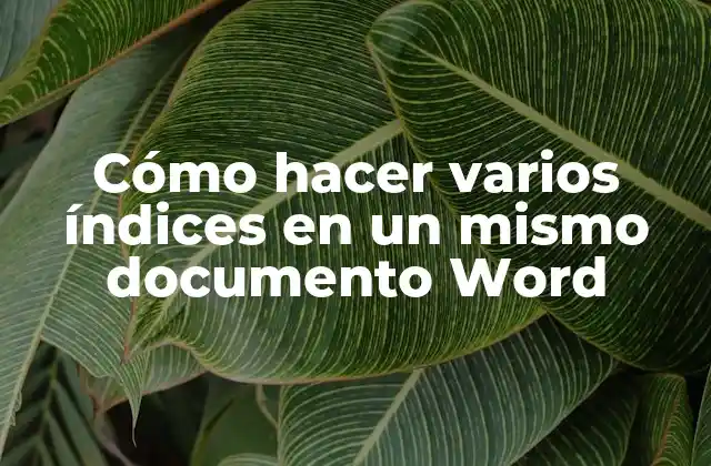 Cómo Hacer Varios Índices en un Mismo Documento Word