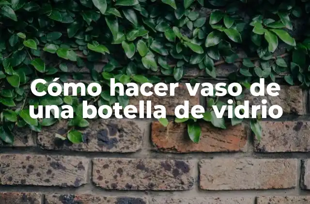 Cómo Hacer Vaso de una Botella de Vidrio