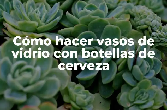 Cómo Hacer Vasos de Vidrio con Botellas de Cerveza