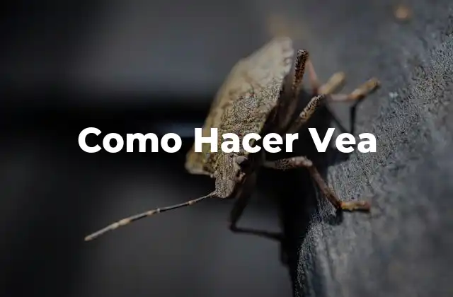 ¿Qué es Hacer Vea?