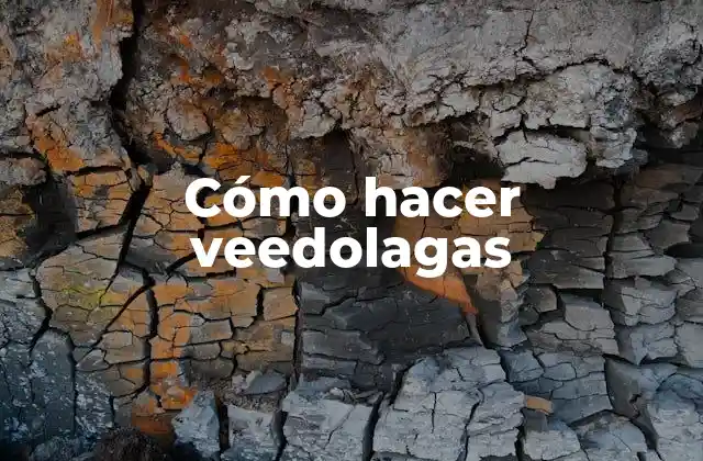 Cómo Hacer Veedolagas