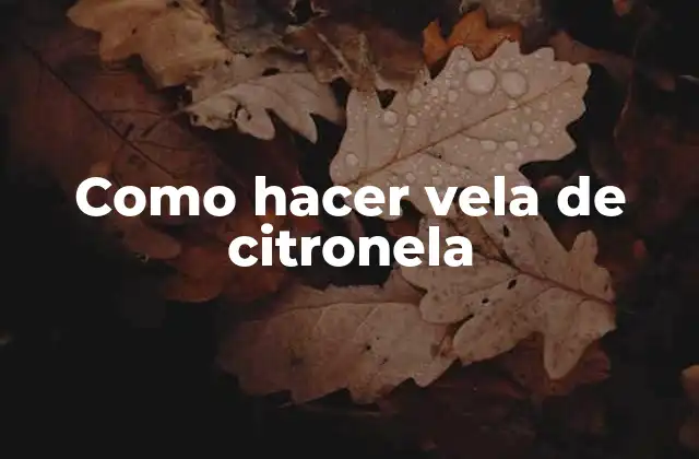 Como Hacer Vela de Citronela
