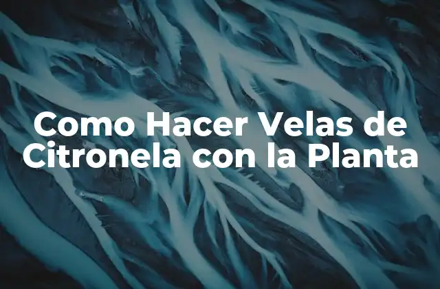 Como Hacer Velas de Citronela con la Planta