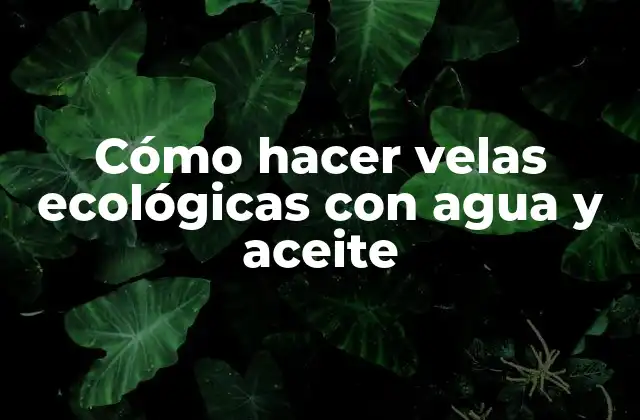 Cómo Hacer Velas Ecológicas con Agua y Aceite