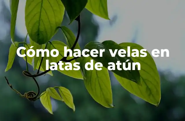 Cómo Hacer Velas en Latas de Atún