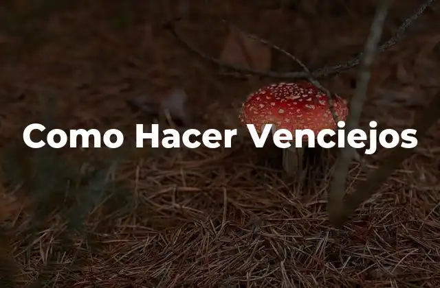 Como Hacer Venciejos