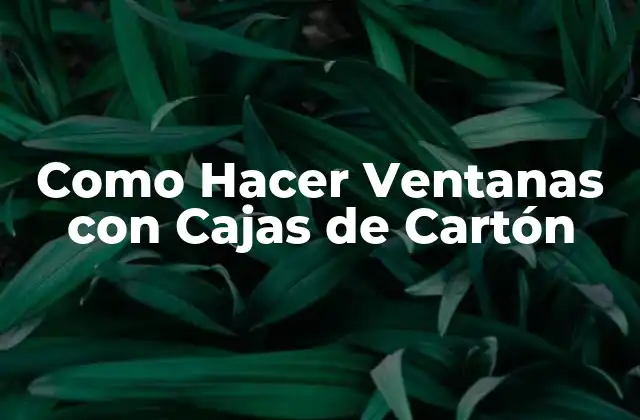 Como Hacer Ventanas con Cajas de Cartón