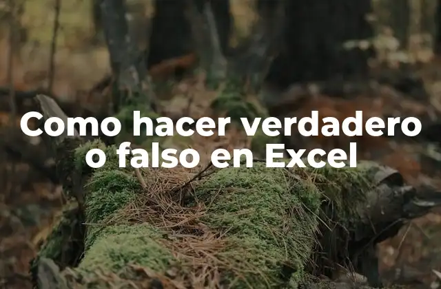 Como Hacer Verdadero o Falso en Excel