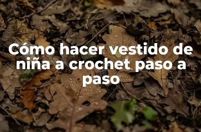 Cómo Hacer Vestido de Niña a Crochet Paso a Paso