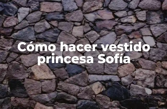 Cómo Hacer Vestido Princesa Sofía