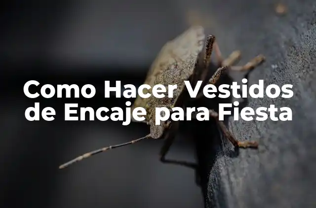 Como Hacer Vestidos de Encaje para Fiesta