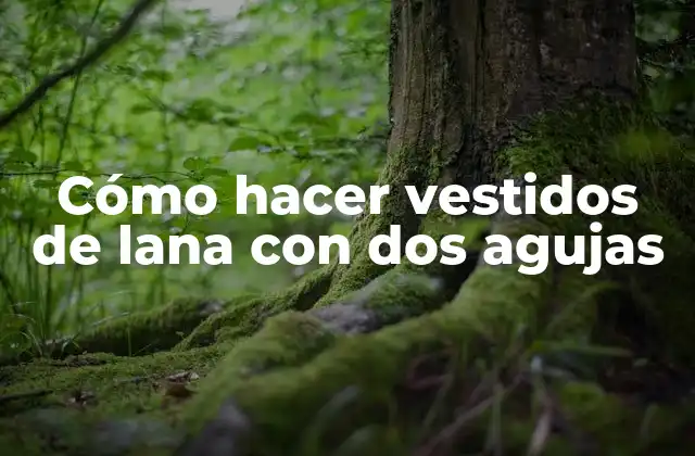 Cómo Hacer Vestidos de Lana con Dos Agujas