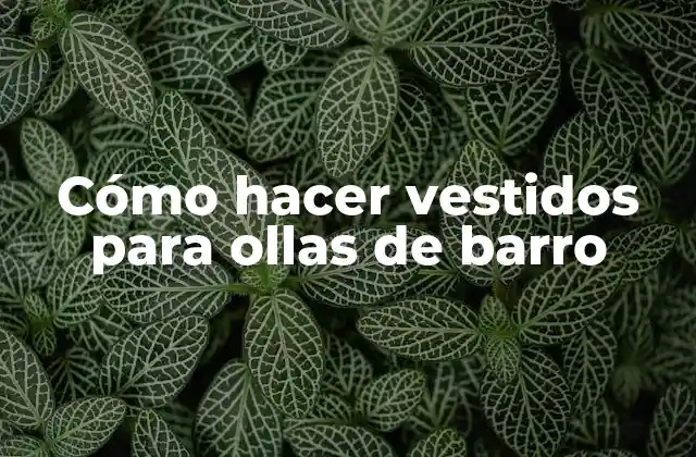 Cómo Hacer Vestidos para Ollas de Barro