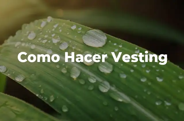 Como Hacer Vesting