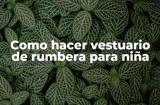 Como Hacer Vestuario de Rumbera para Niña