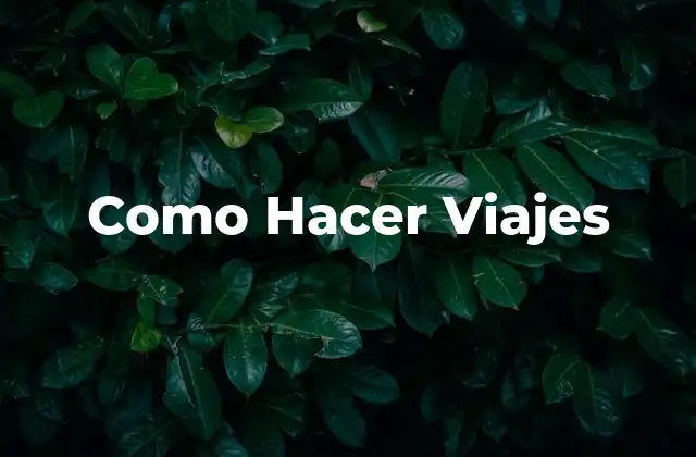 Como Hacer Viajes 2 Como Hacer Viajes