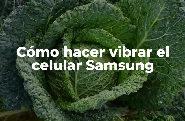 Cómo Hacer Vibrar el Celular Samsung