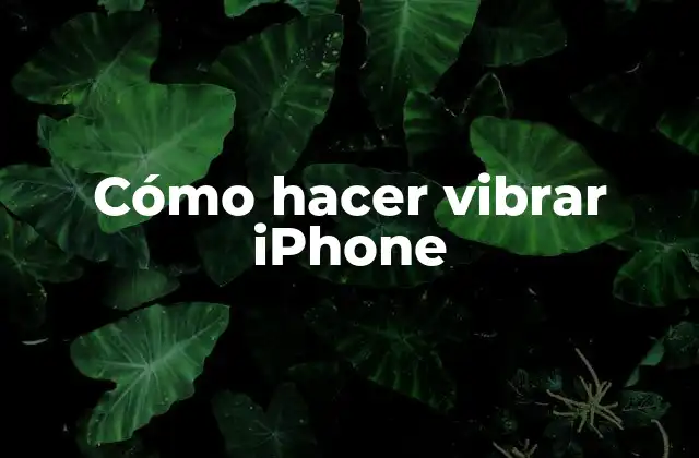 Cómo Hacer Vibrar Iphone