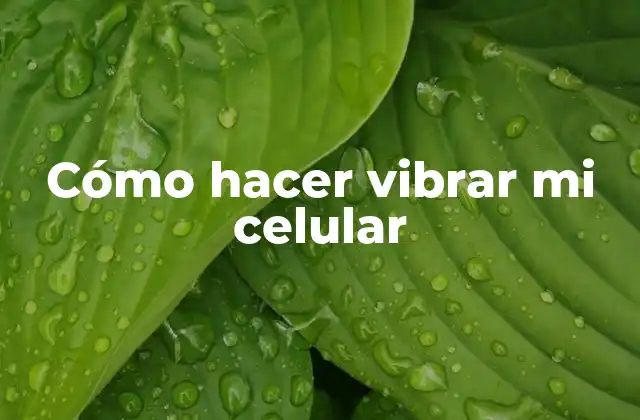 Cómo Hacer Vibrar Mi Celular