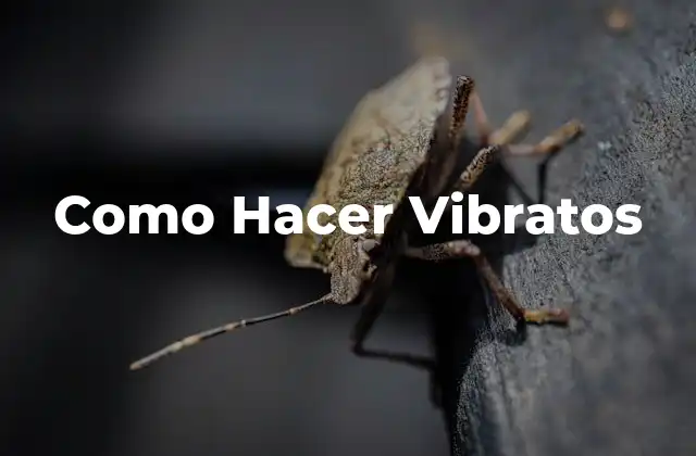 Como Hacer Vibratos