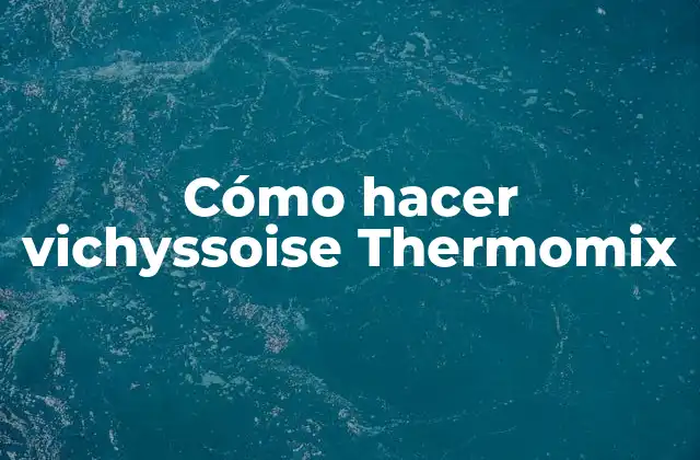 Cómo Hacer Vichyssoise Thermomix