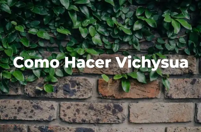 Como Hacer Vichysua