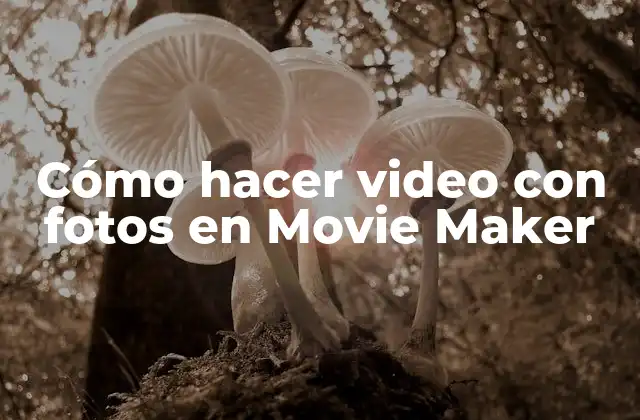 Cómo Hacer Video con Fotos en Movie Maker
